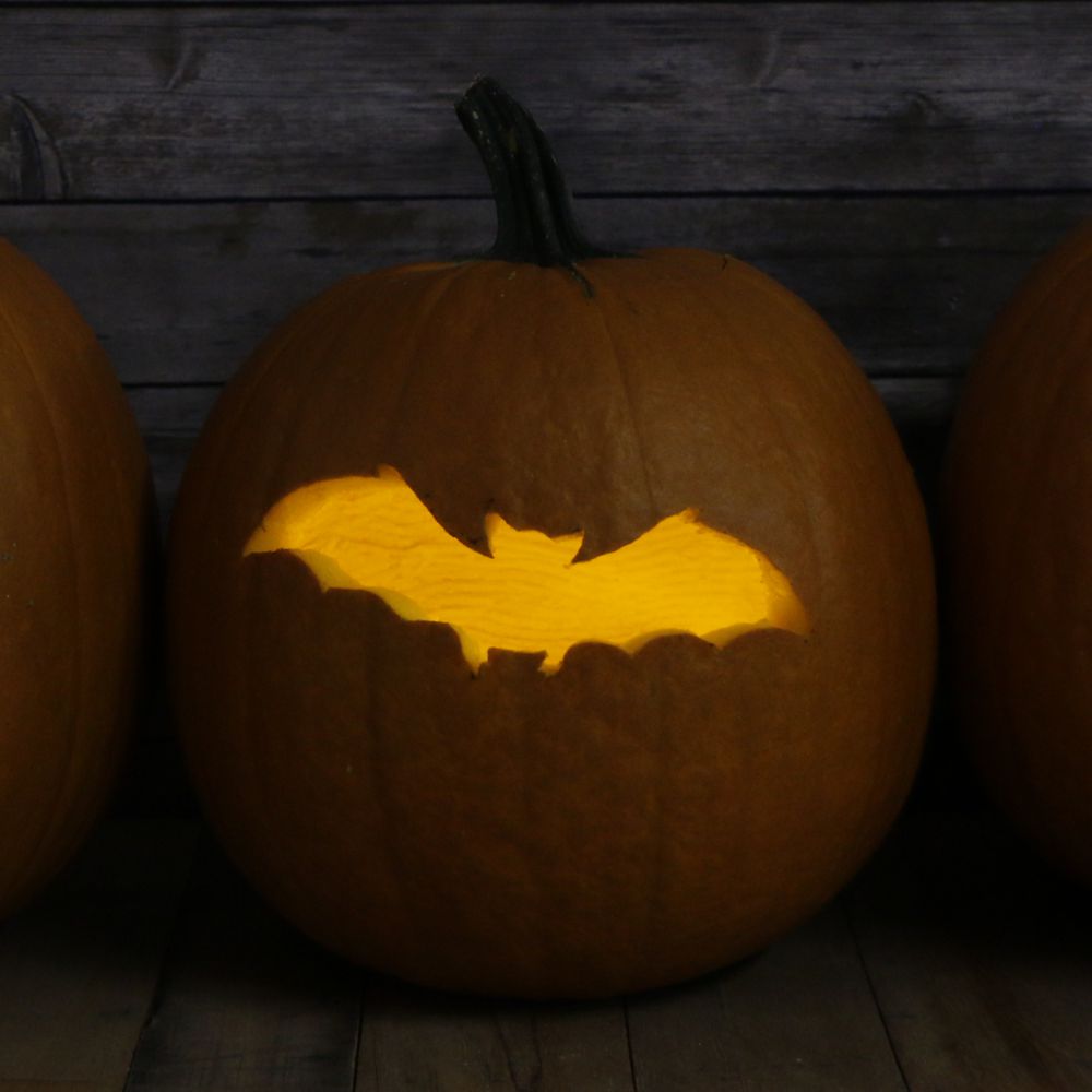 bat pumpkin stencil